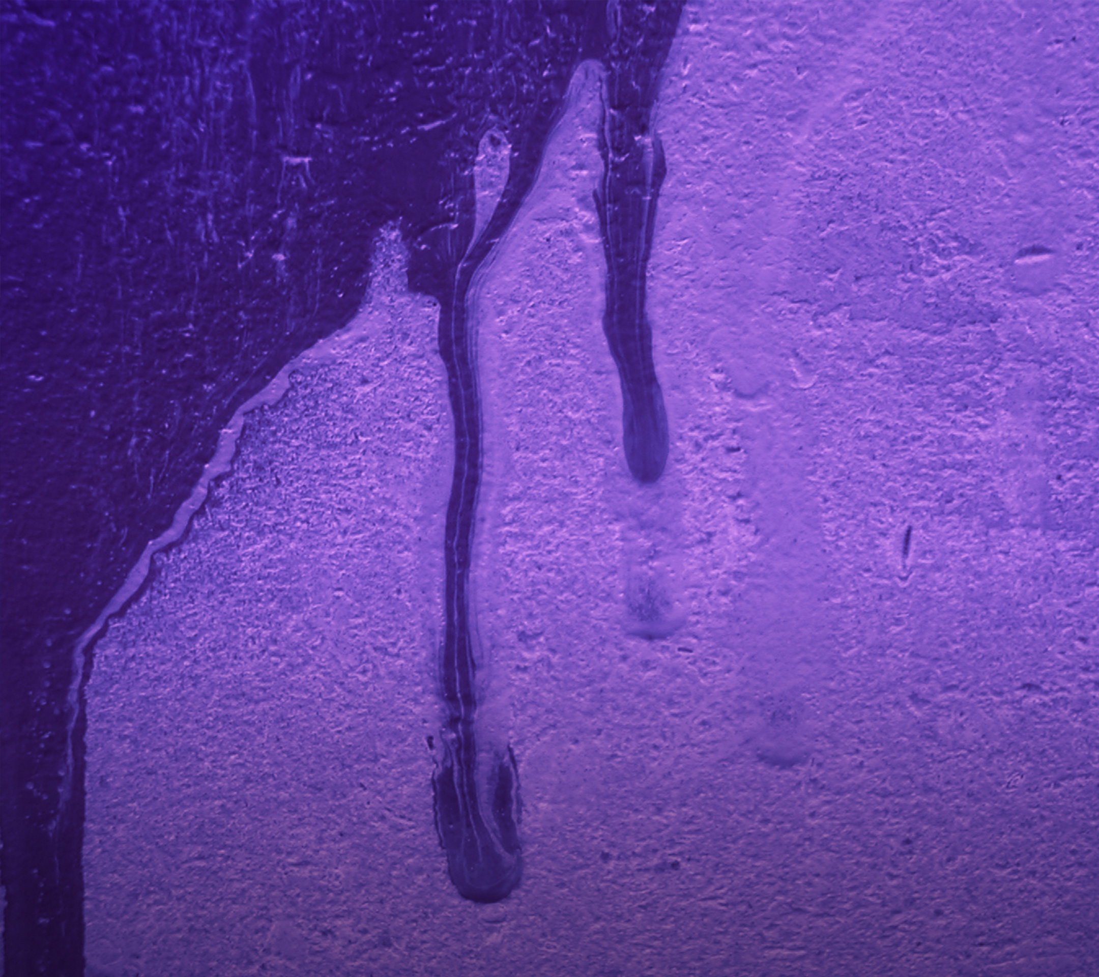 wallpaper_lynx_004_purple.jpg