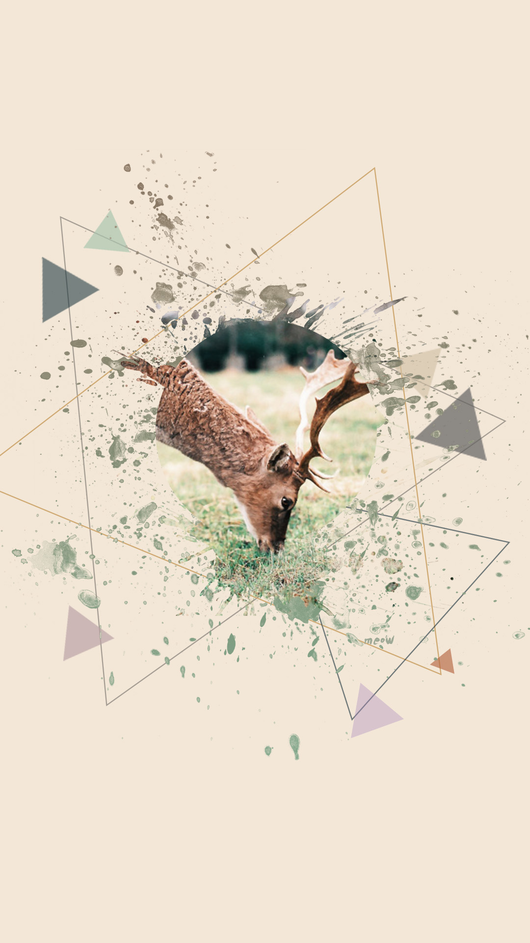 deer-5.jpg