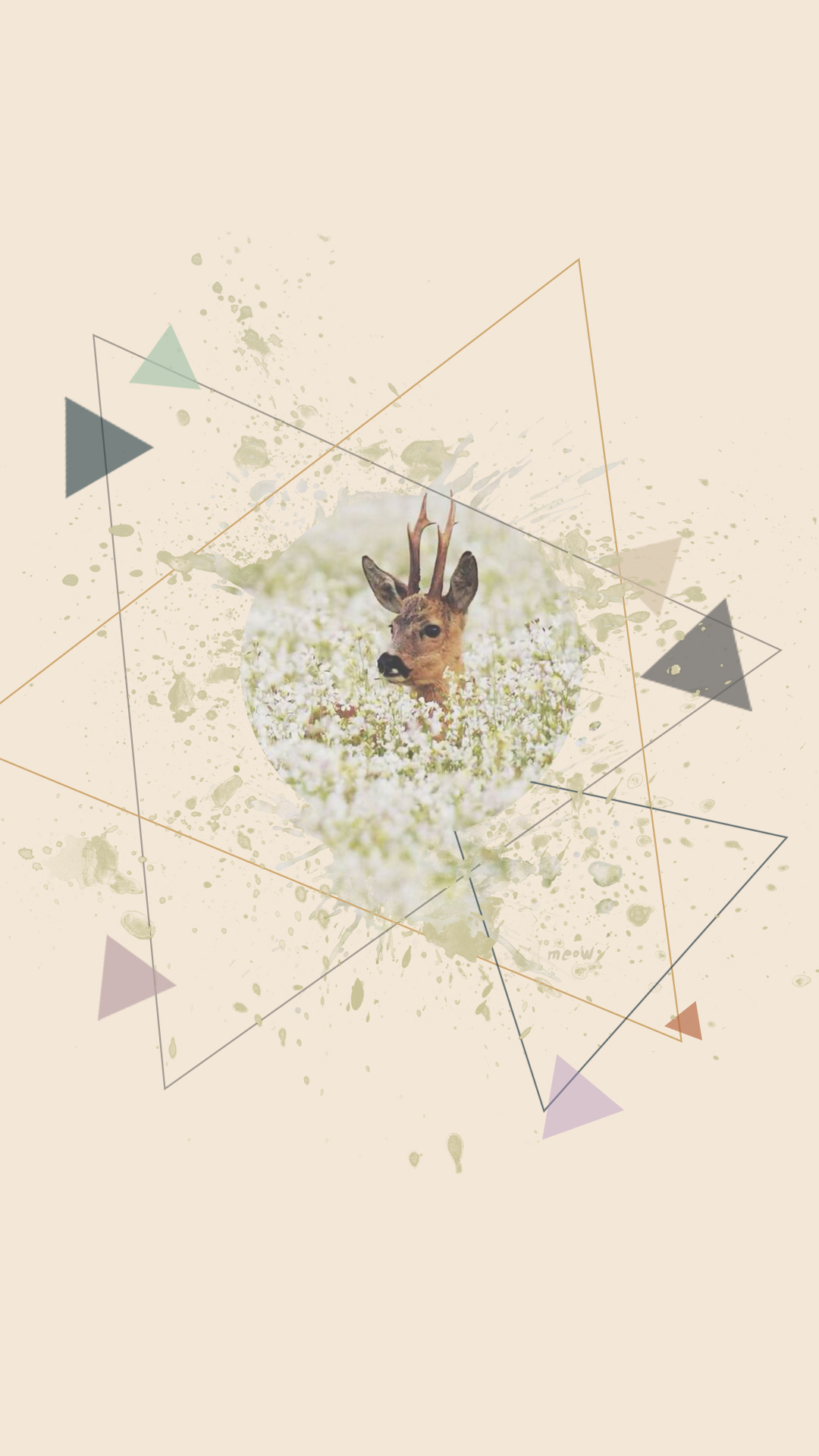 deer-11.jpg