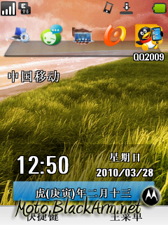 28032010_125103.png