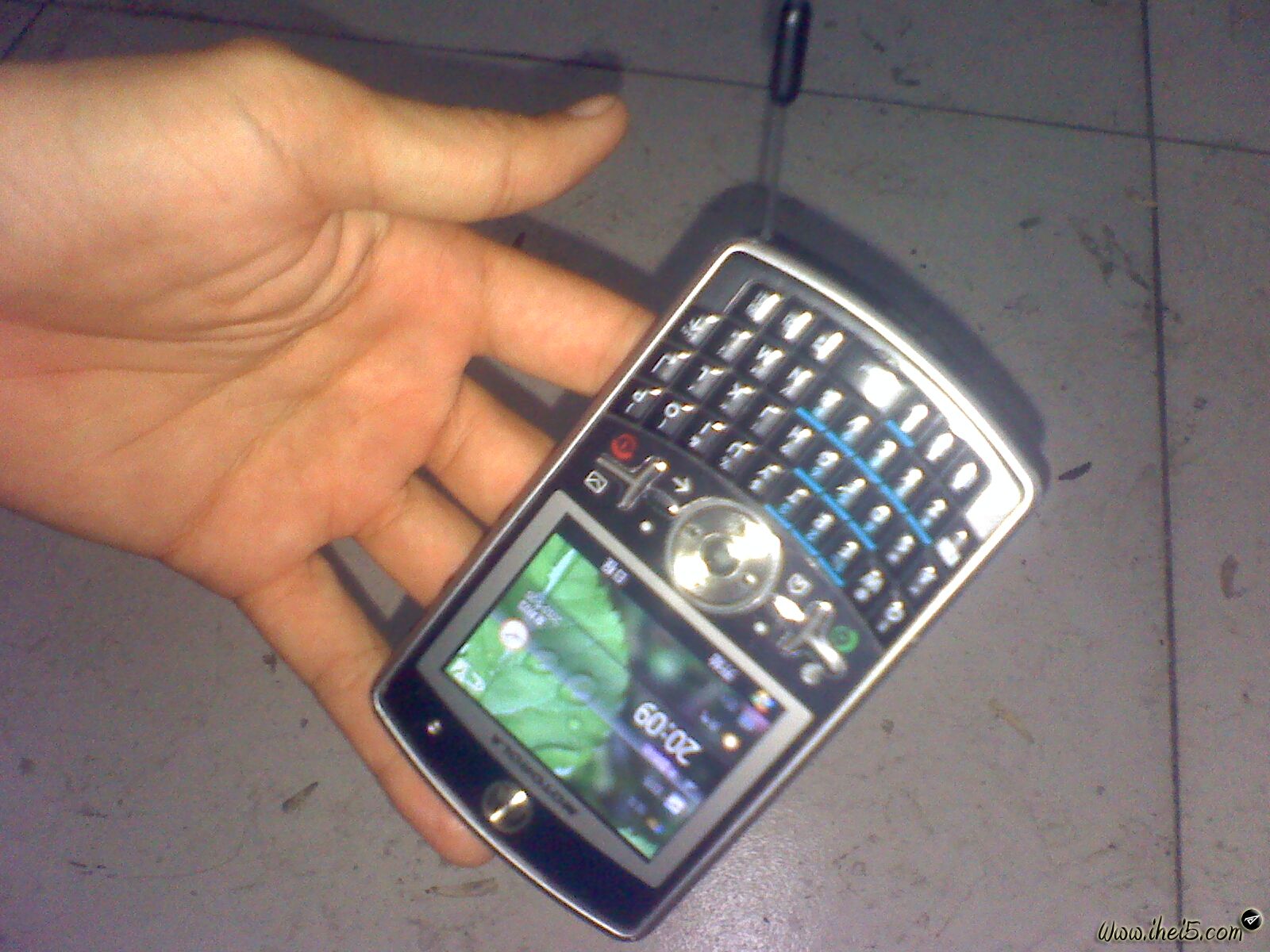 Motorola Z60033.jpg