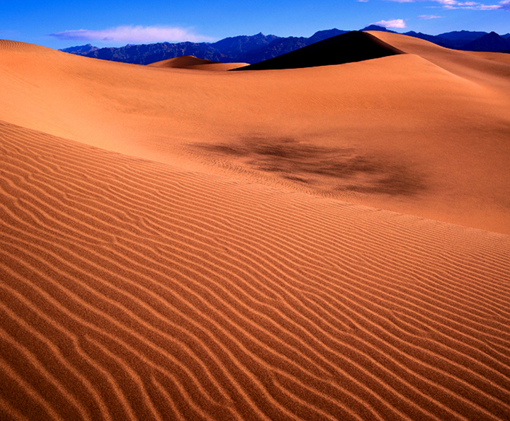 background_Desert.jpg
